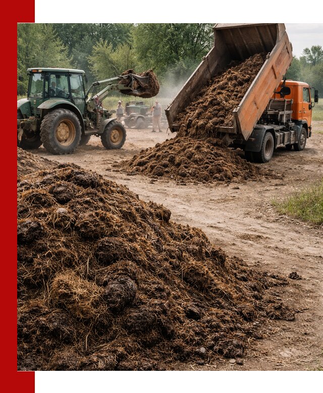 Доставка навоза самосвалами в Таганроге для сельхозпотребностей