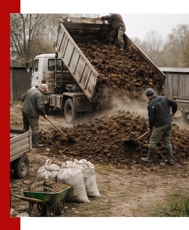 Доставка коровьего навоза самосвалом в Таганроге